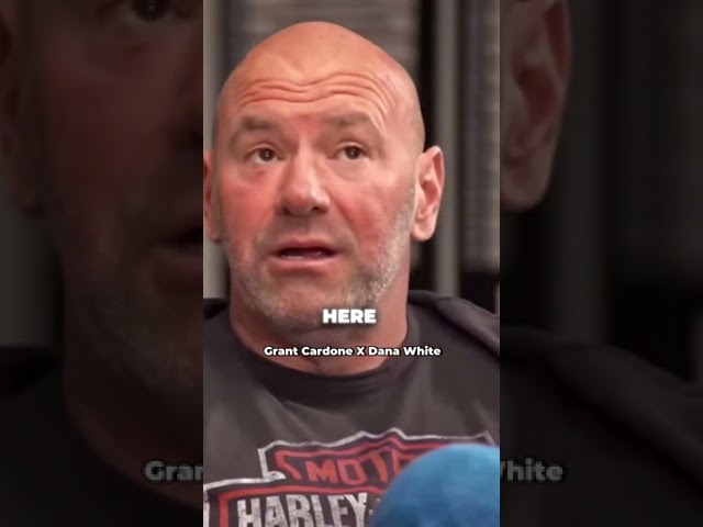 What The UFC Provides To Fighters #shorts