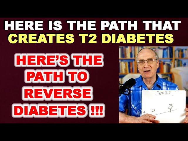Here’s the Path that Creates Diabetes – Here’s the Path that Reverses it!!!