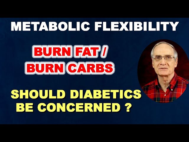 Metabolic Flexibility: Burn Fat / Burn Carbs – Should Diabetics be Concerned?
