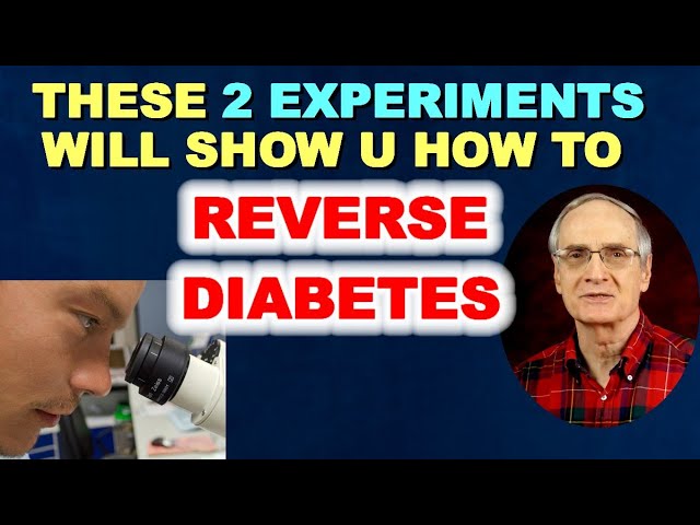 These 2 Experiments Will Show U How to Reverse Diabetes!