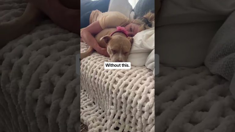 Making the healthy lifestyle bearable 😂