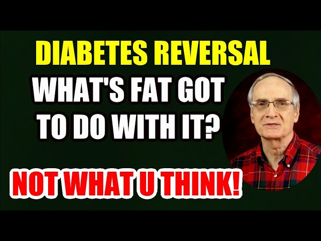 Reverse Diabetes: What’s Fat Got To Do with It?.. (Not what you might think)