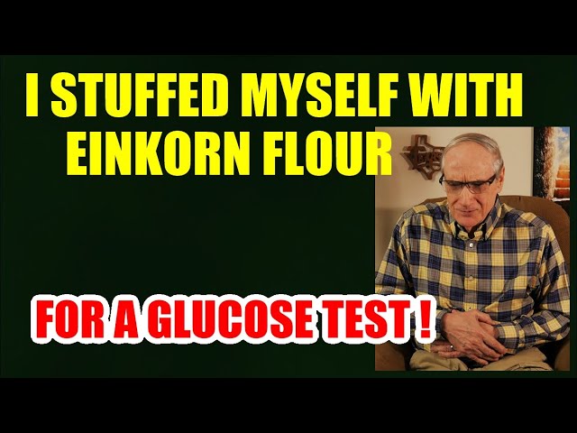 I Stuffed Myself with Einkorn Flour Pancakes – for a Glucose Test!